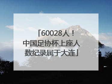 60028人！中国足协杯上座人数纪录属于大连