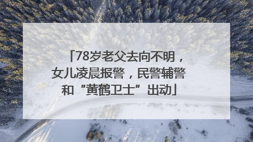 78岁老父去向不明，女儿凌晨报警，民警辅警和“黄鹤卫士”出动