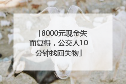 8000元现金失而复得，公交人10分钟找回失物