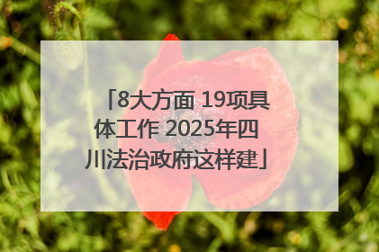 8大方面 19项具体工作 2025年四川法治政府这样建