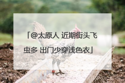 @太原人 近期街头飞虫多 出门少穿浅色衣